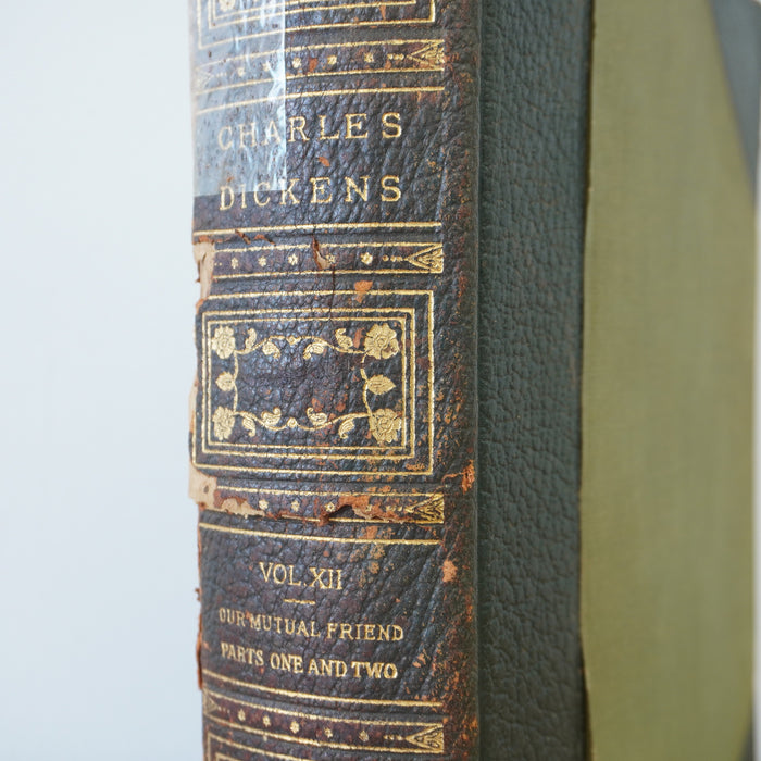 Works of  Charles Dickens Vol 12 - Our Mutual Friend
