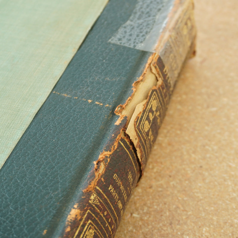 Works of  Charles Dickens Vol 12 - Our Mutual Friend