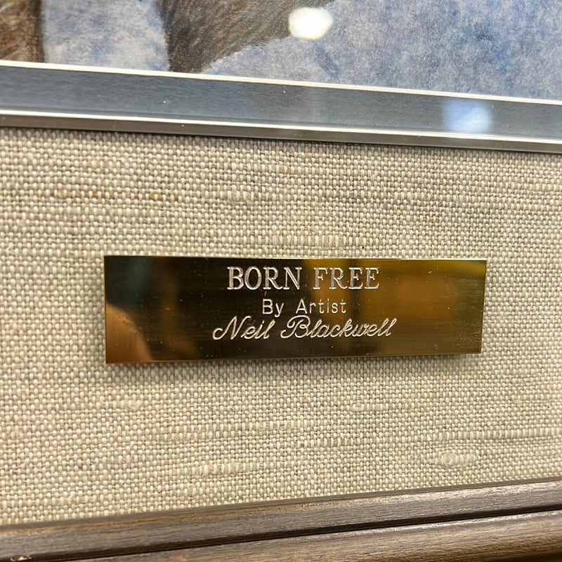 'Born Free' by Neil Blackwell